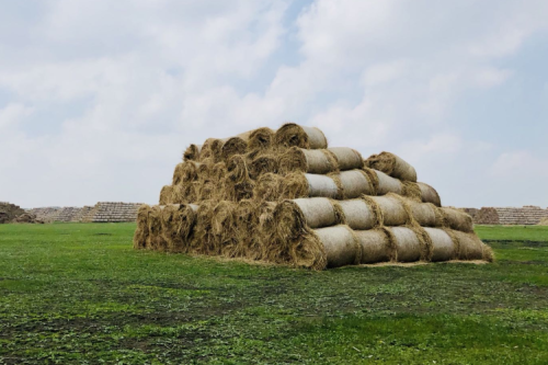 生物質(zhì)供熱：未來(lái)取暖面積將超10億平米