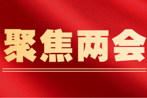 全國人大代表李寅建議（三）丨盡快解決可再生能源電價(jià)附加補貼拖欠問(wèn)題的建議